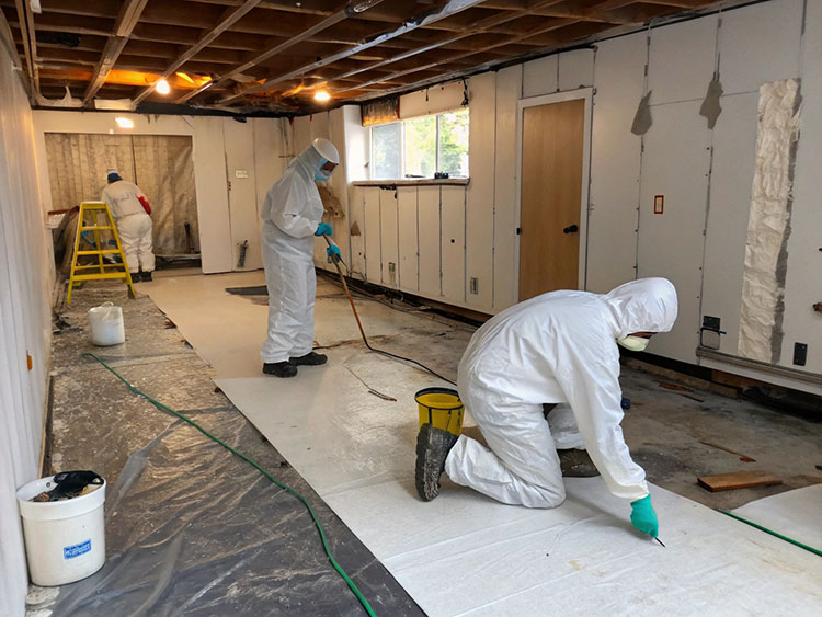 MagicReno Best Mold Removal Company