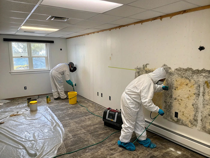 completed mold remediation