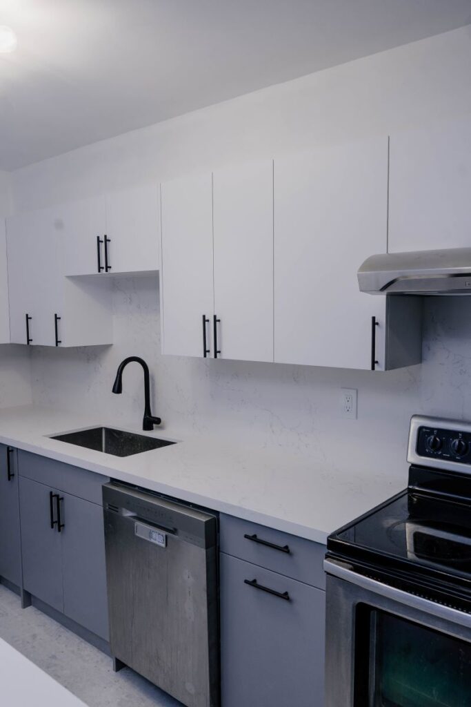 Close up of the washing zone featuring a deep undermount sink, matte black faucet, and stainless steel dishwasher under white quartz counters